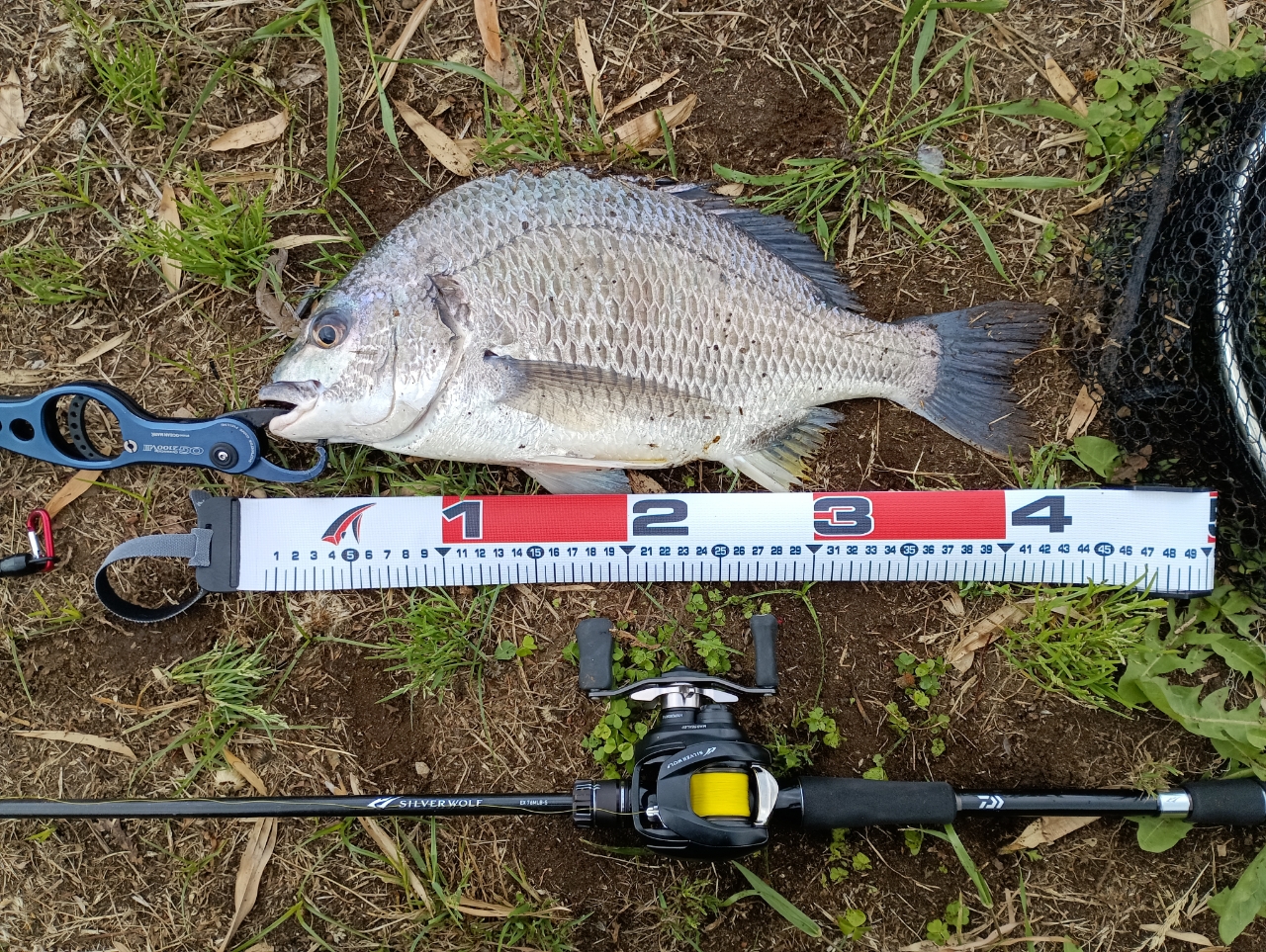 DAIWA 22シルバーウルフ SV TW PE スペシャル 1000XHの最安値 DAIWA 22シルバーウルフ SV TW PE スペシャル 1000XHの最安値