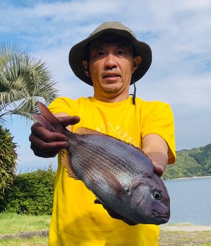 タイの釣果