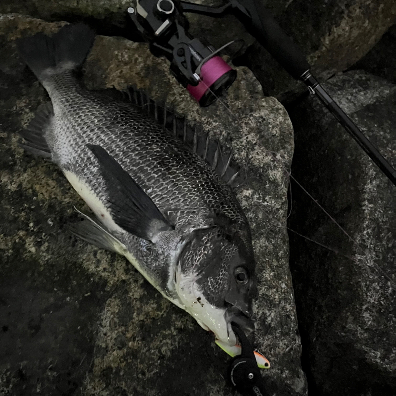 SHIMANO 18エクスセンスジェノス S810ML/Rの最安値・インプレ SHIMANO 18エクスセンスジェノス S810ML/Rの最安値・インプレ