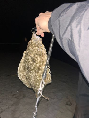 釣果