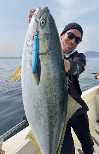 ブリの釣果