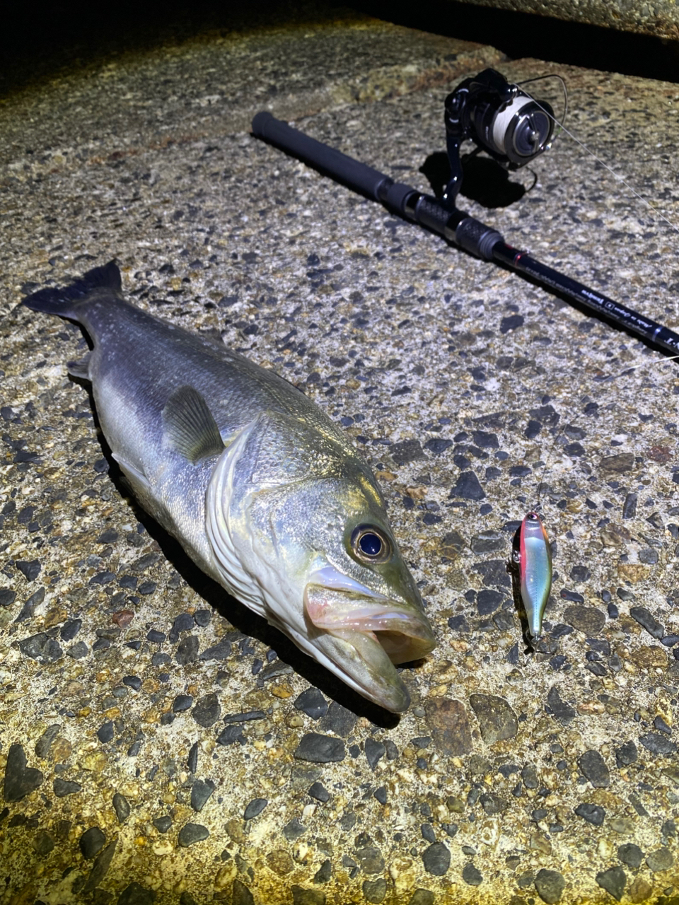 TENRYU スワット SW972S-MLの最安値・インプレ・釣果 | 本音の TENRYU スワット SW972S-MLの最安値・インプレ・釣果 | 本音の