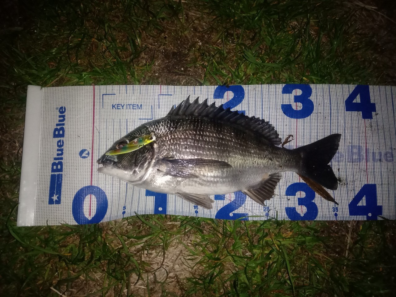 SHIMANO 20ルアーマチック MB S90ML-4の最安値・インプレ・釣果