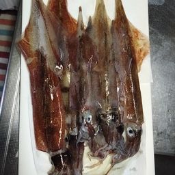 ヤリイカ