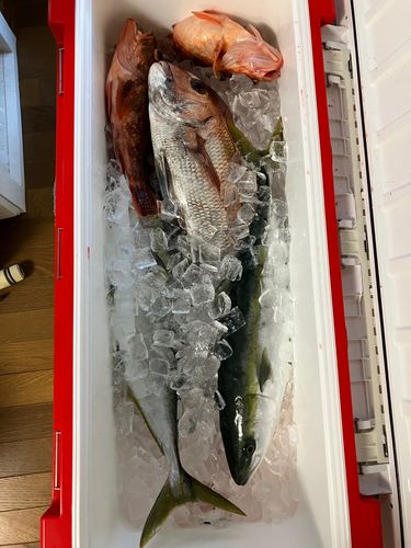 釣果