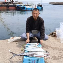 サワラ