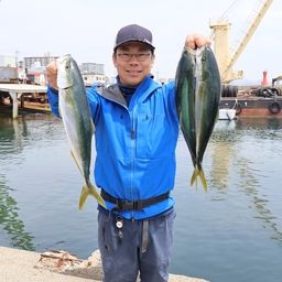 ハマチ
