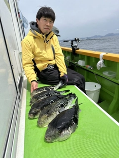 トラフグの釣果