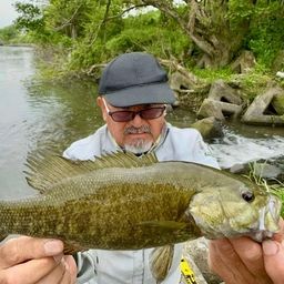 スモールマウスバス