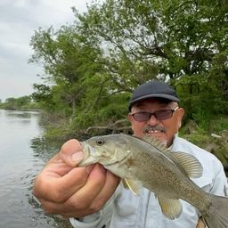 スモールマウスバス