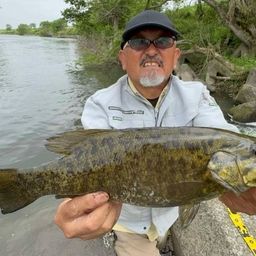 スモールマウスバス