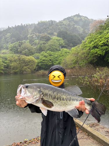 ブラックバス