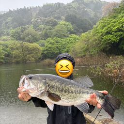 ブラックバス