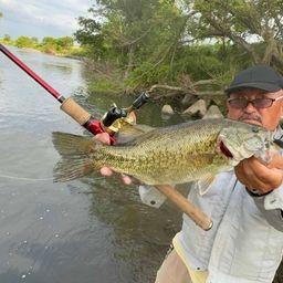 スモールマウスバス