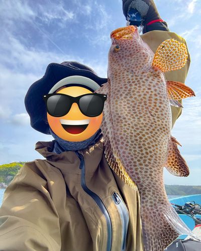 オオモンハタ