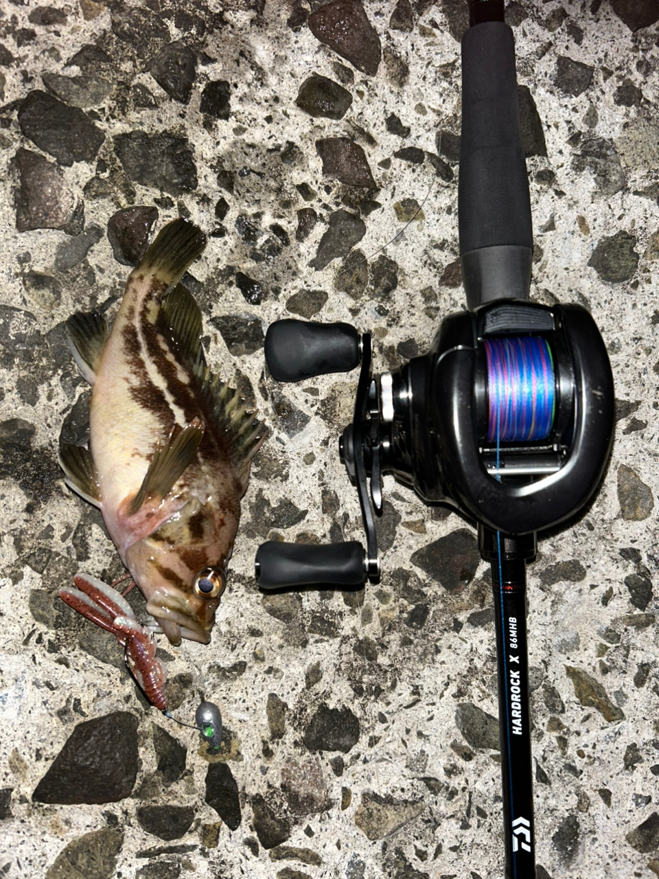 SHIMANO 23アンタレス DC MD XG RIGHTの最安値・インプレ・釣果 SHIMANO 23アンタレス DC MD XG RIGHTの最安値・インプレ・釣果