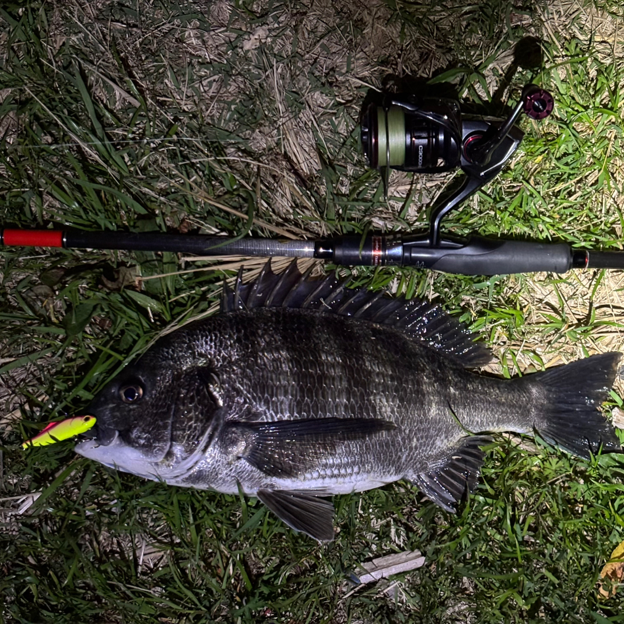 SHIMANO 20ヴァンフォード C3000HGの最安値・インプレ・釣果 SHIMANO 20ヴァンフォード C3000HGの最安値・インプレ・釣果