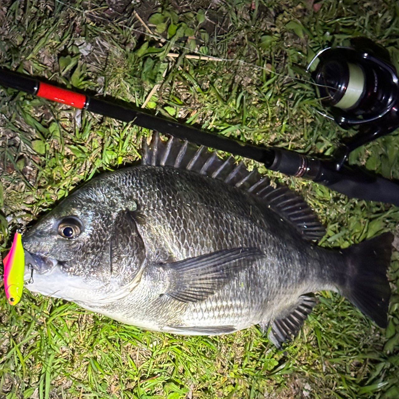 SHIMANO 20ヴァンフォード C3000HGの最安値・インプレ・釣果 SHIMANO 20ヴァンフォード C3000HGの最安値・インプレ・釣果