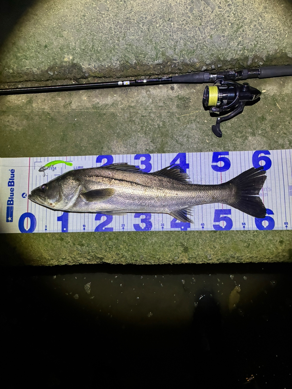 SHIMANO 19ヴァンキッシュ 3000MHGの最安値・インプレ・釣果 SHIMANO 19ヴァンキッシュ 3000MHGの最安値・インプレ・釣果