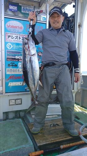 ビンチョウマグロの釣果