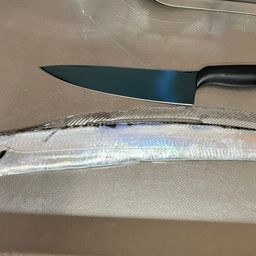 タチウオ