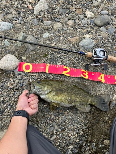 スモールマウスバスの釣果