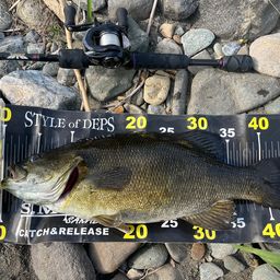 スモールマウスバス