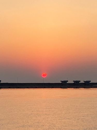 シリヤケイカの釣果