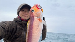 アカアマダイの釣果