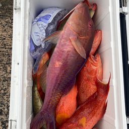 ナガジューミーバイ