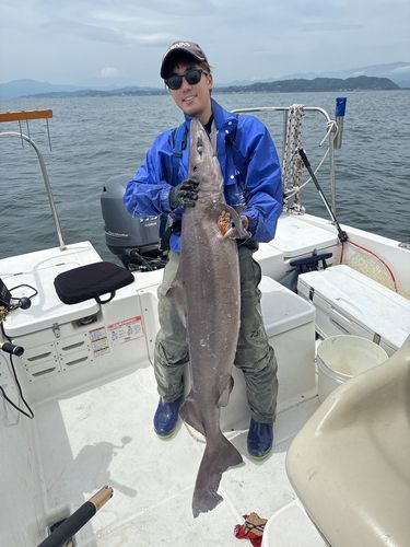 タロウザメの釣果