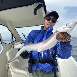 エドアブラザメ