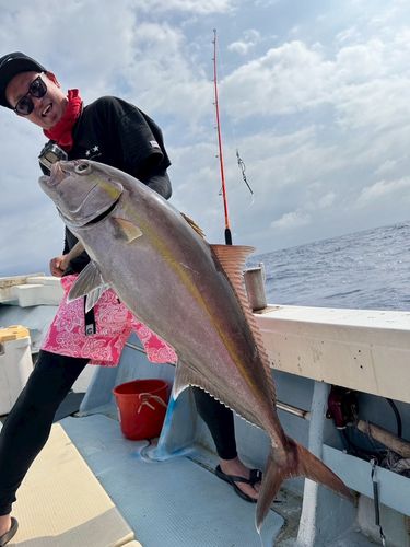 カンパチの釣果