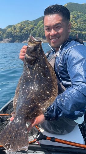 ヒラメの釣果