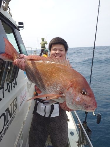 マダイの釣果