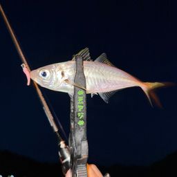 アジ