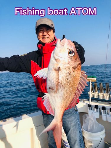 マダイの釣果