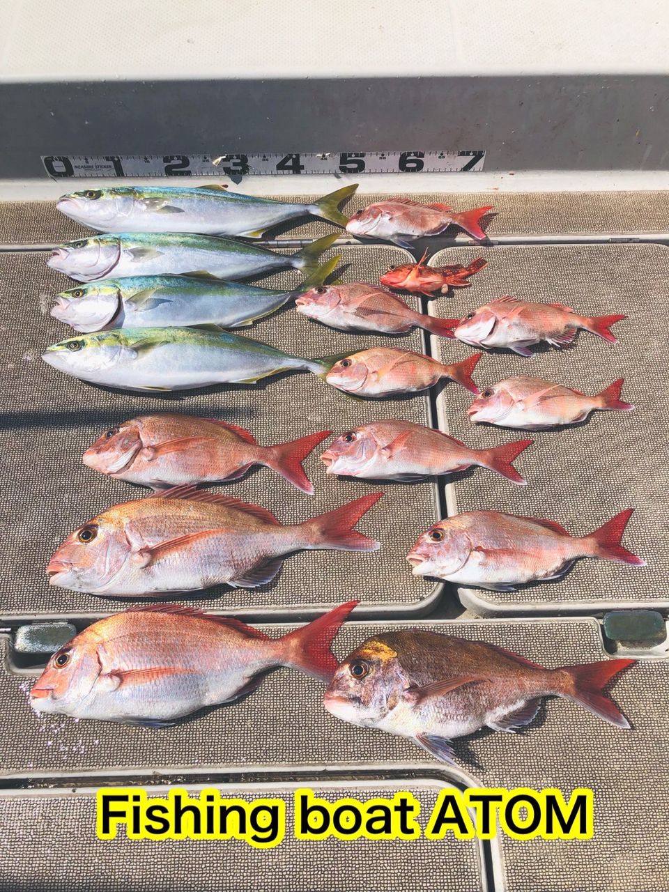 fishingboat.atomさんの釣果 2枚目の画像