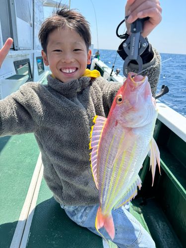 イトヨリダイの釣果