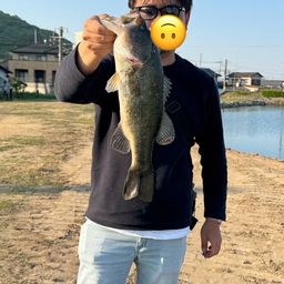 ブラックバス