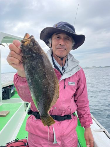 ヒラメの釣果