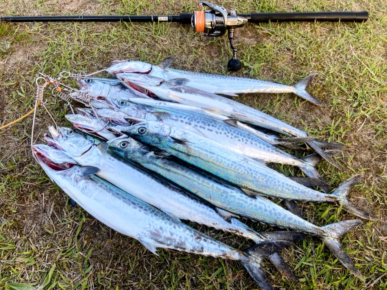 YAMAGA Blanks アーリー・フォーサーフ 109MMHの最安値 YAMAGA Blanks アーリー・フォーサーフ 109MMHの最安値