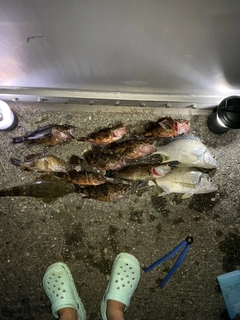 釣果