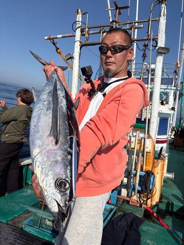 ビンチョウマグロの釣果