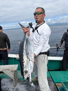 ビンチョウマグロの釣果