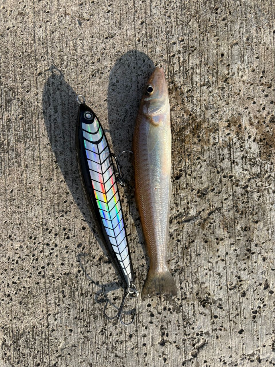 DAIWA 23ドラッガー X 100M-3の最安値・インプレ・釣果 | 本音の口コミ