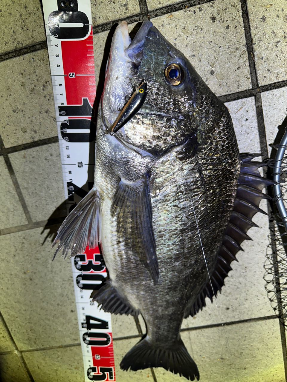 SHIMANO 23ディアルーナ S96MLの最安値・インプレ・釣果 | 本音 SHIMANO 23ディアルーナ S96MLの最安値・インプレ・釣果 | 本音
