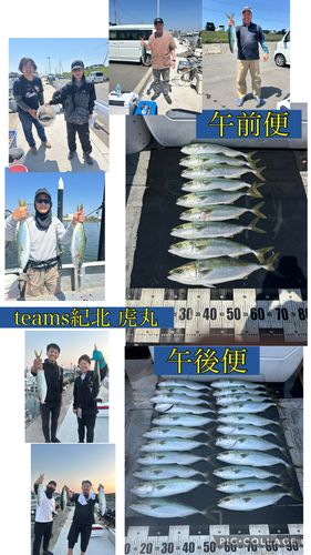 ハマチの釣果