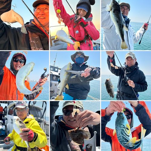 ショウサイフグの釣果