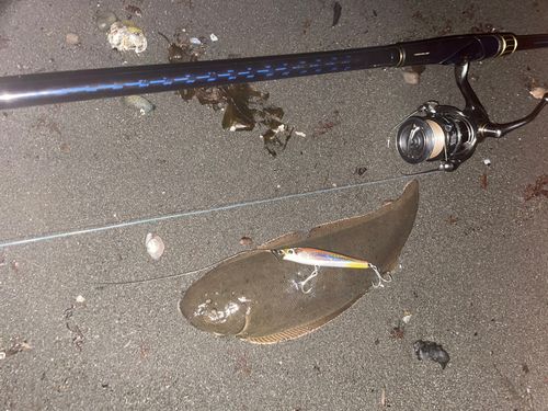 クロウシノシタの釣果